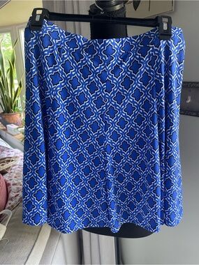Susan Graver Blue & White A-Line Skirt NWOT